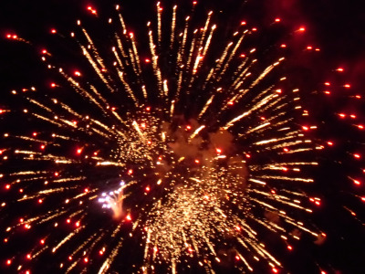 red fireworks at ohori kouen red fireworks at ohori kouen