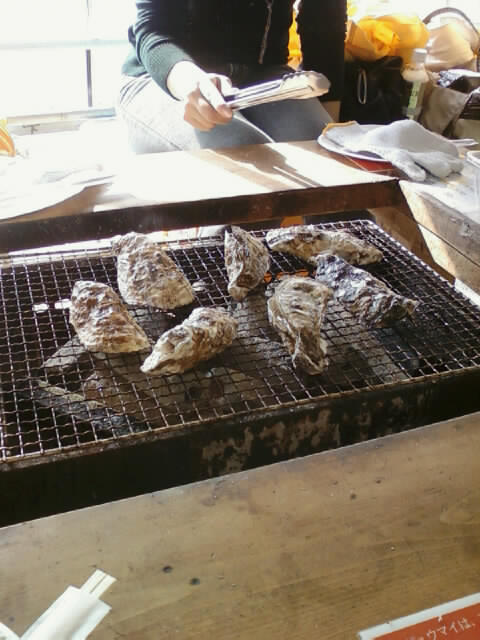 20111120-photo-0017.jpg 20111120-photo-0017.jpg