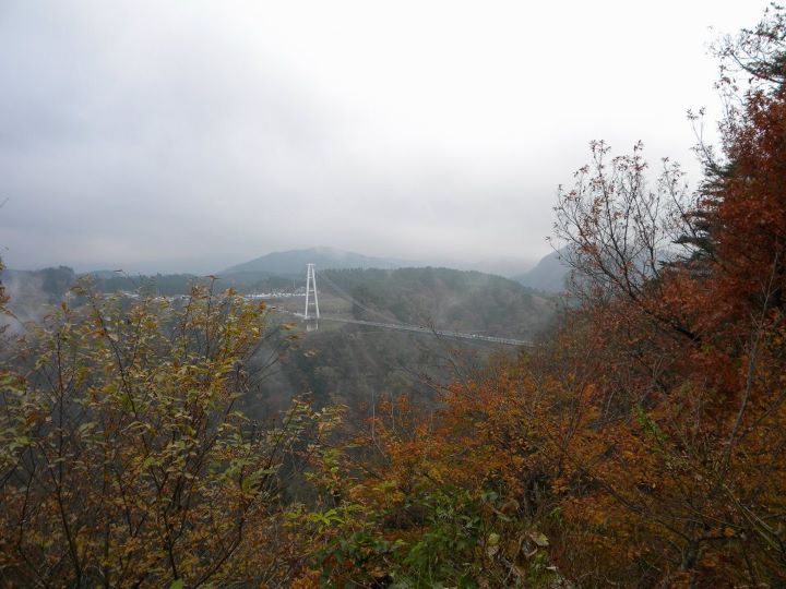 20111124-390051_2664929063787_1272831647_3042118_1121305104_n.jpg 20111124-390051_2664929063787_1272831647_3042118_1121305104_n.jpg