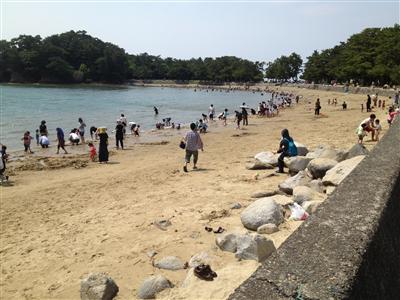 Digging for clams in Japan