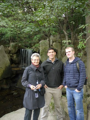 Japanese garden