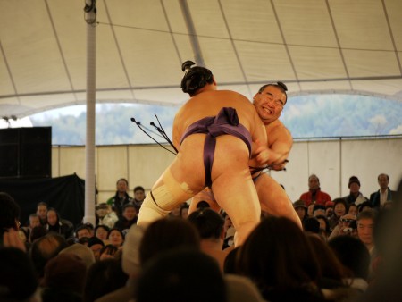 Sumo wrestlers