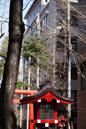 Tokyo Japanese language school building