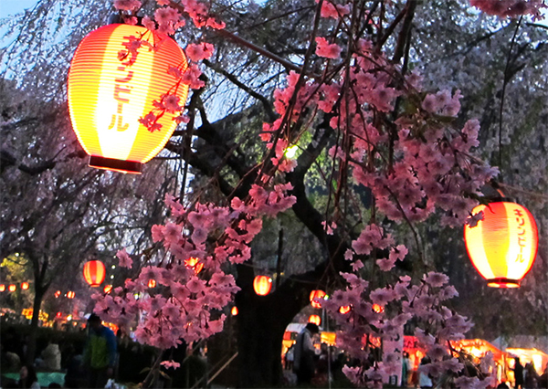 20150323-hanami.jpg