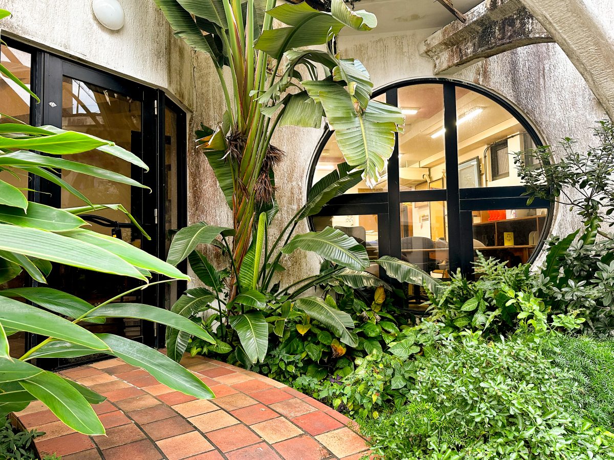 Okinawa School entrance. A circular window with greenery around!