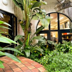 Okinawa School entrance. A circular window with greenery around!