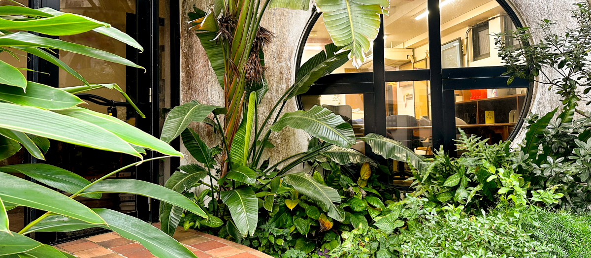 Okinawa school entrance - full of greenery with a circular window showing us a bright interior