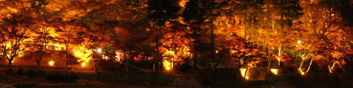 A multitude of red and orange trees lit from underneath by warm yellow lights.
