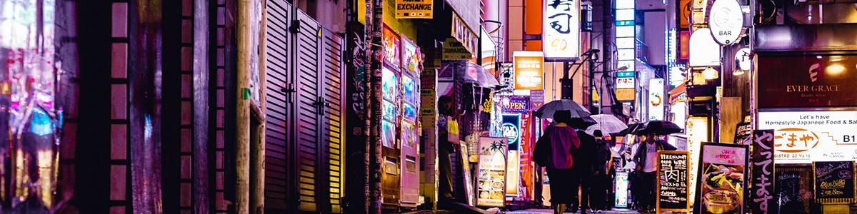 Working Holiday Visa -Night Tokyo