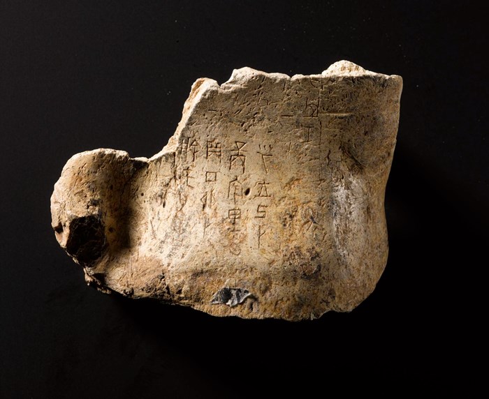 Oracle bone script