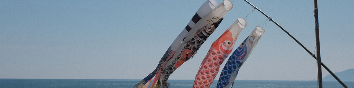 Carp Streamer - Koinobori