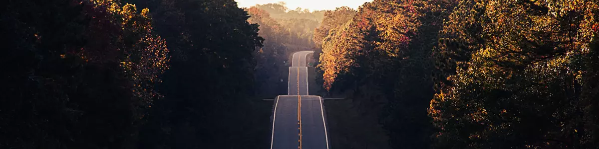 Road in the middle of a forrest