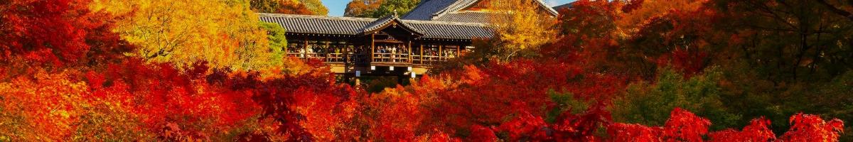 Dark wood temple building overlooking a forest of red and orange maple trees.