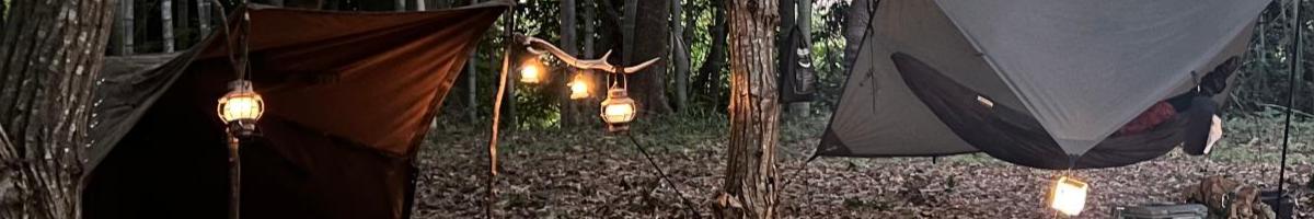 Three lanterns hanging on a tree branch, above a pitched tent in a cleared area in a forest.