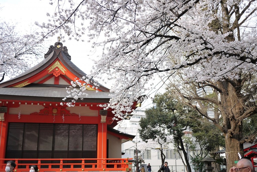P1020845.JPG
