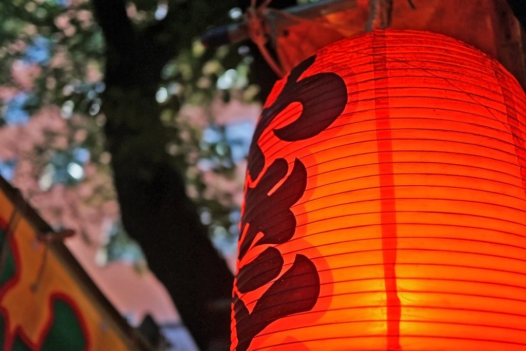 tokyo-shinjuku-city-hanazonoshrine2.JPG