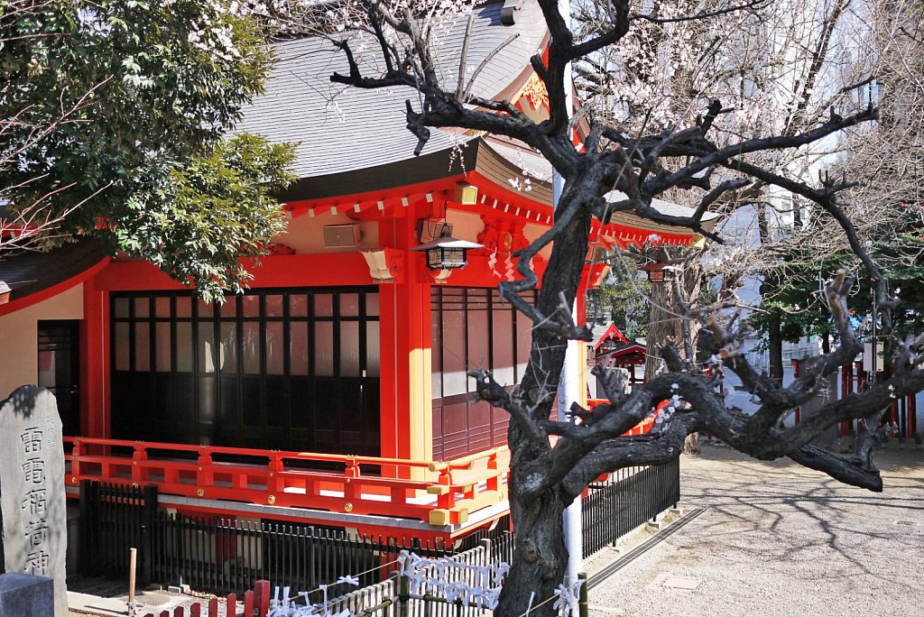 tokyo-shinjuku-city-hanazonoshrine5.JPG